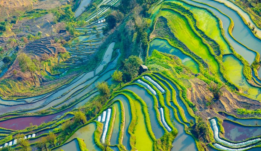 走进郊区TVC拍摄：解锁本地化场景与创意镜头的完美融合